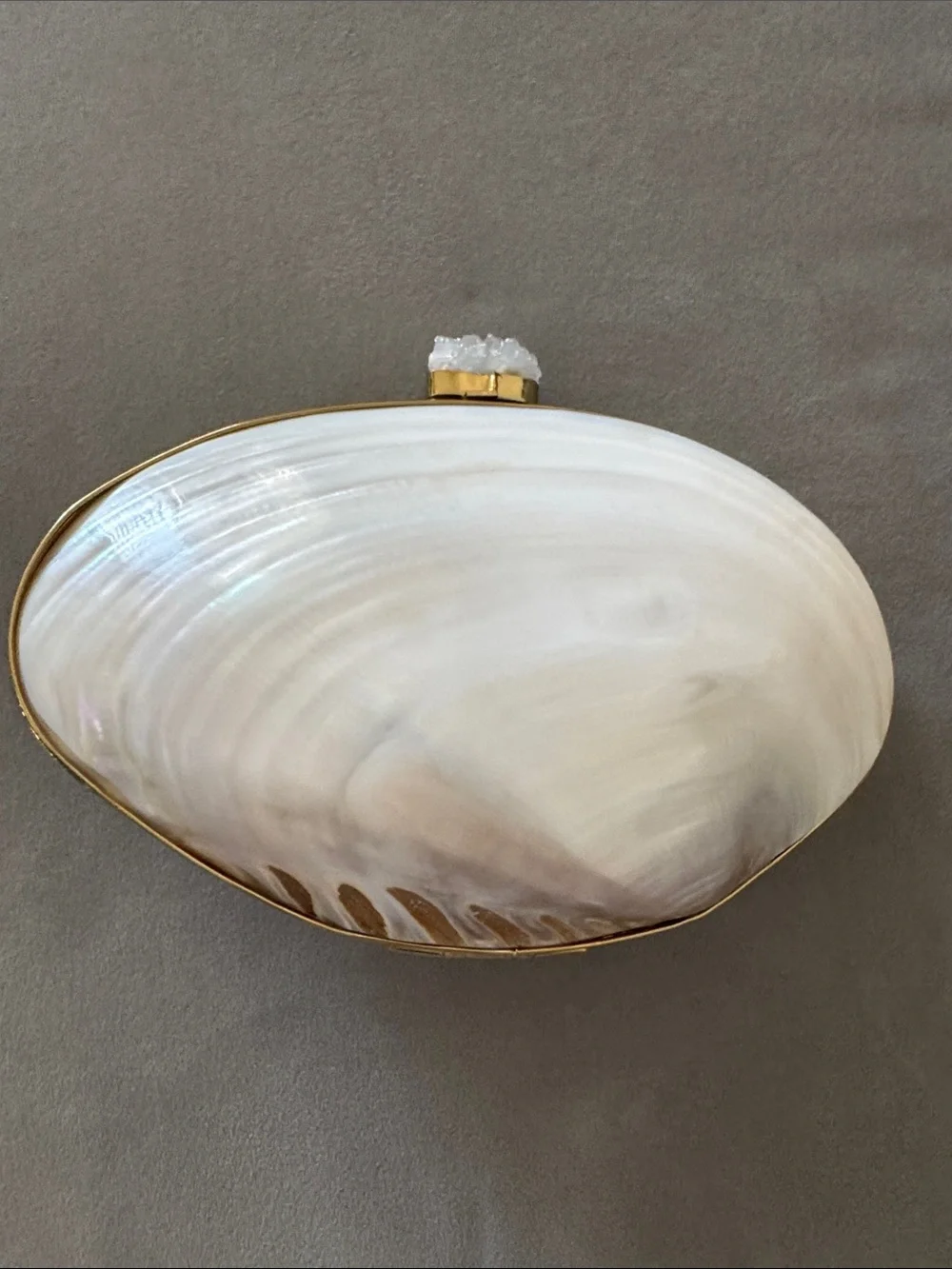 Genuine Mother of Pearl Clutch Purse Abalone Quartz Chain Seashell Bag 🧜🏻‍♀️🐚